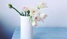 姐姐妹妹开心的句子