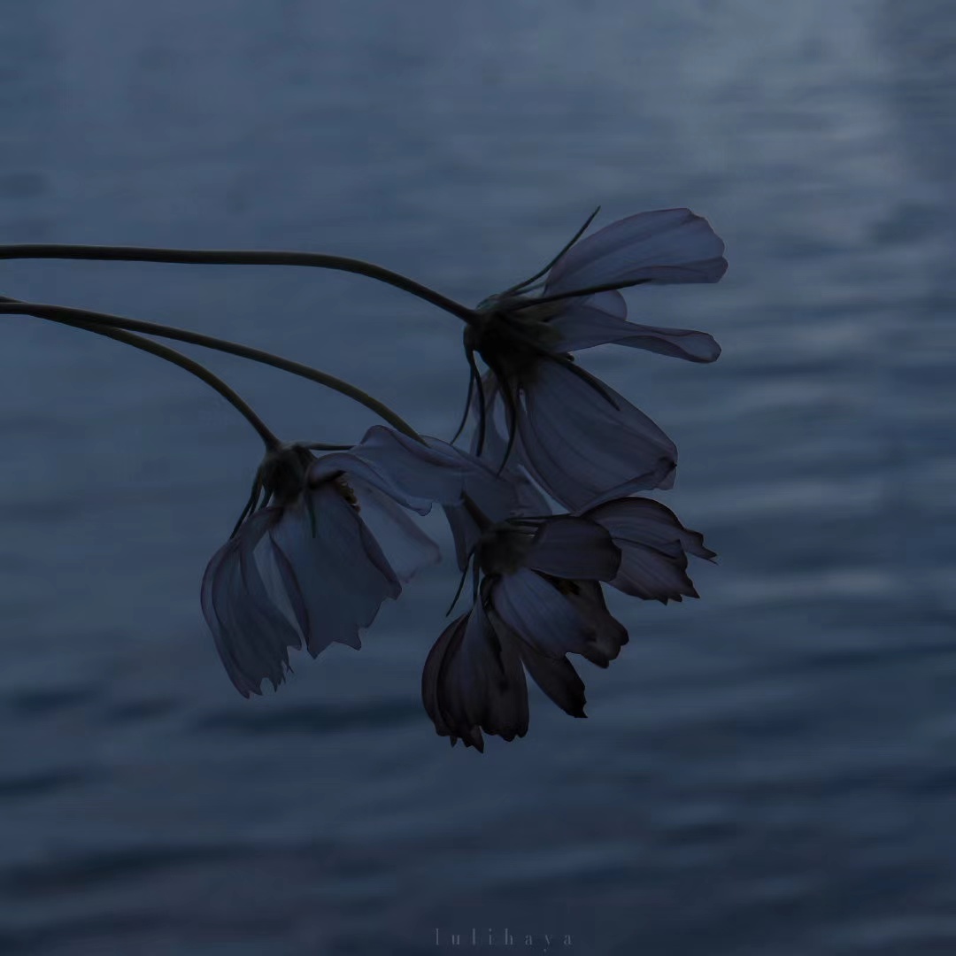 分句，每句话oke心1