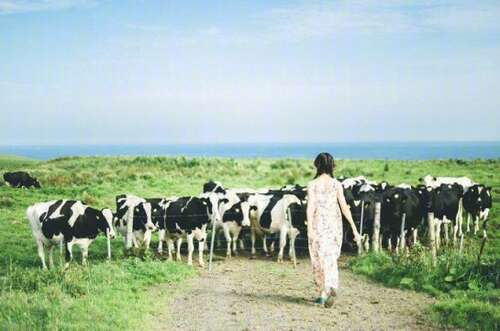 和他在一起快乐的句子