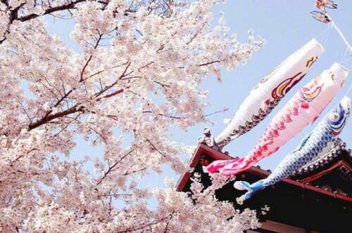 描述新年快乐的句子