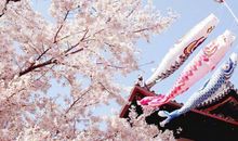 描写过年开心的句子