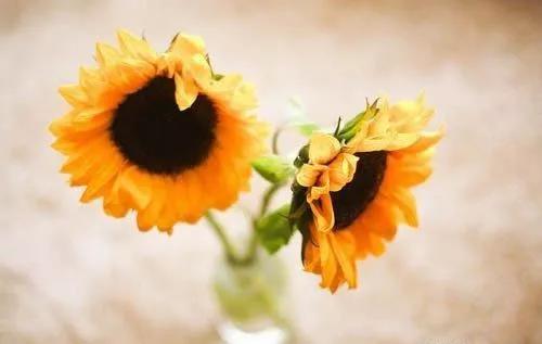 2021有毒句子哲学句子1