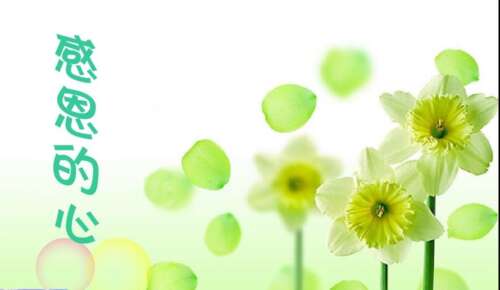 朋友的感恩节文写作圈2