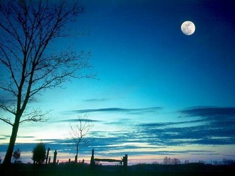 月光下的漂亮句子