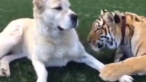 被宠坏的女人的审美句子