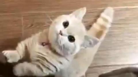 被宠坏的女人的审美句子1