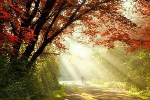 阳光明媚的美丽句子1