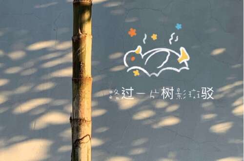 伟大时光的审美句子2