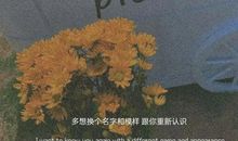 深夜语录经典语录