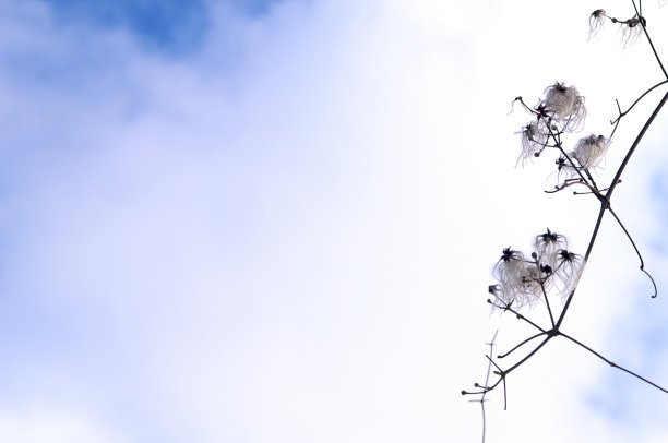 秋天的美丽句子1