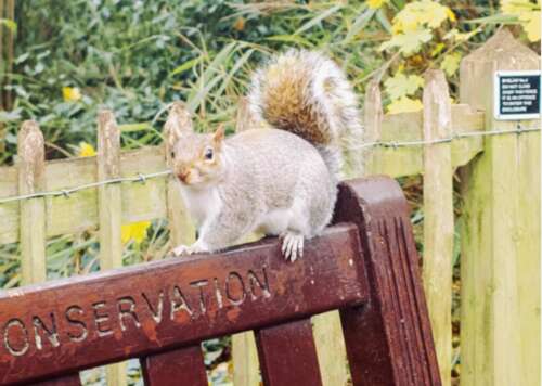 天气冷的句子天气冷的可爱文案1