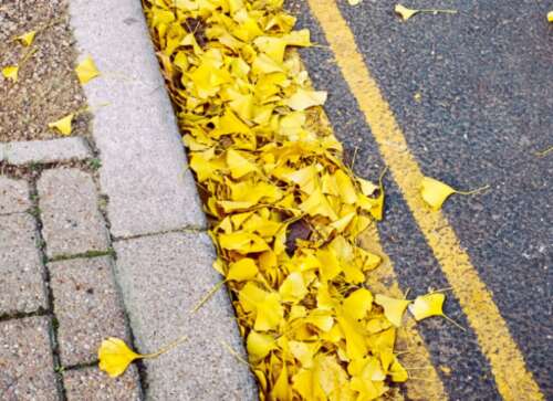 适合天气寒冷的句子，天气寒冷时的可爱文案