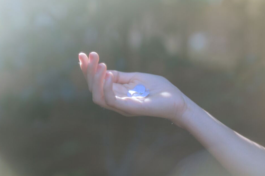 小清新漂亮的句子