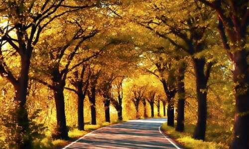 秋天的美丽短语2