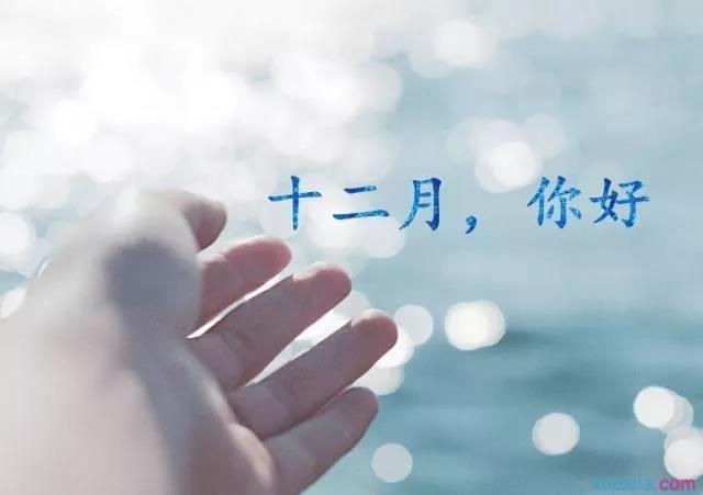 12月的第一天适合在朋友圈中分享有关2020年的话题，并欢迎12月的第一天。励志演讲2