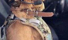 耍男友开心的聊天句子