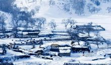 关于二十四节气冬至的诗句