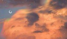 感恩节的句子简短