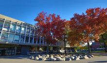 校园的优美句子