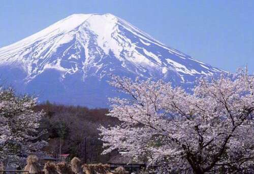 在雪中玩得开心