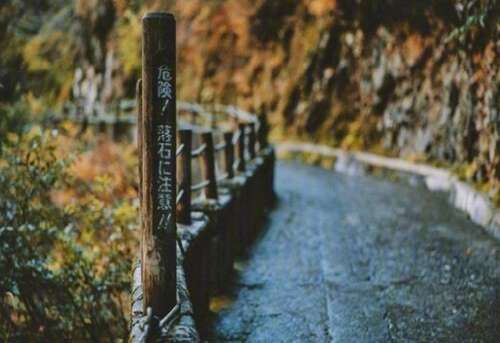 在雪中玩乐的句子2