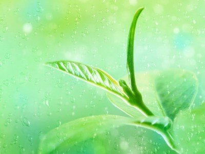 美丽的孩子般的心的句子1