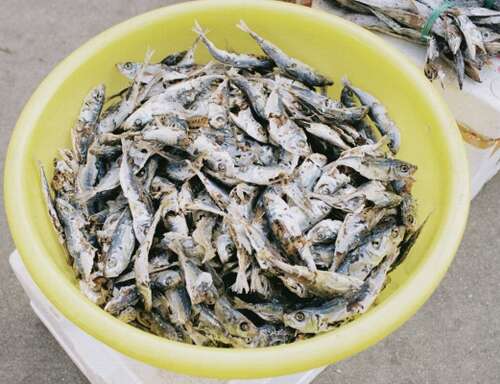 使男朋友快乐的句子2