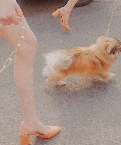 有趣的句子让你的女朋友开心谈论心情2