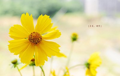 生活中的哲学句子