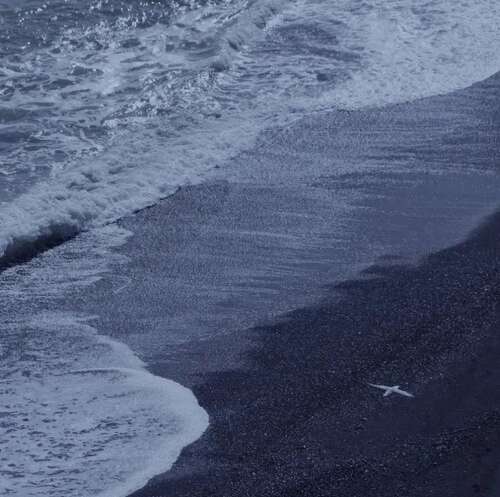 日夜快乐网易云句1