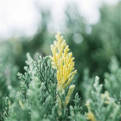 感动人生的句子