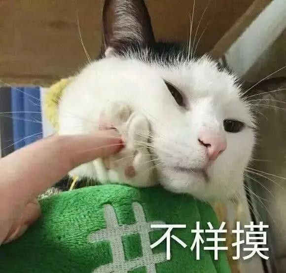 加班狗搞笑文案，总有这么一个星期不想工作2