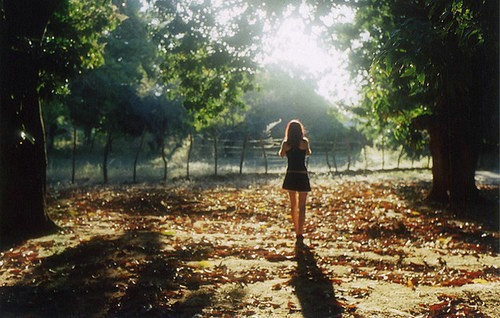 审美感性孤独句1