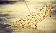 情怀优美的句子