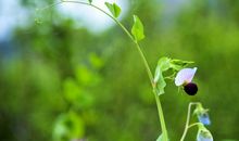 快手优美的句子