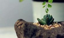 三观不合的经典句子 话不投机半句多