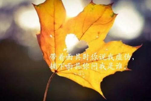 谈谈朋友圈的感想