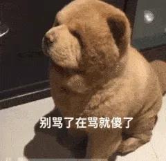 有趣有趣的朋友圈聊天2