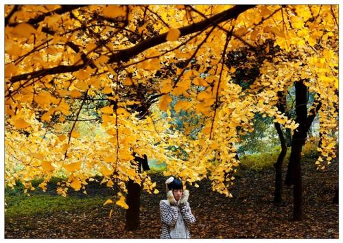 如诗如画的句子