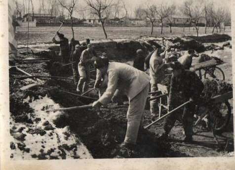 劳动美丽的句子2