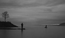 优美的句子文案