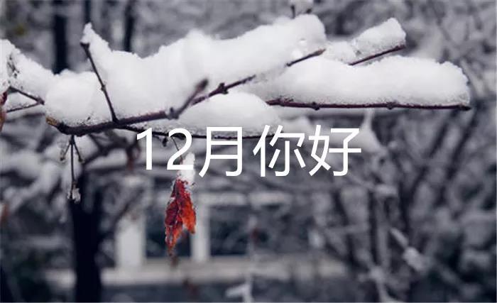 你好12月图片用词