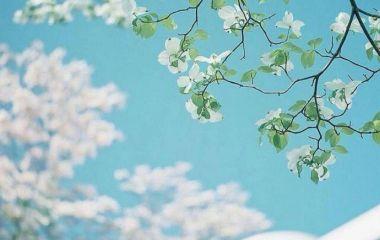 婴儿快乐成长的句子