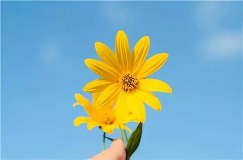 谢谢妻子的好话