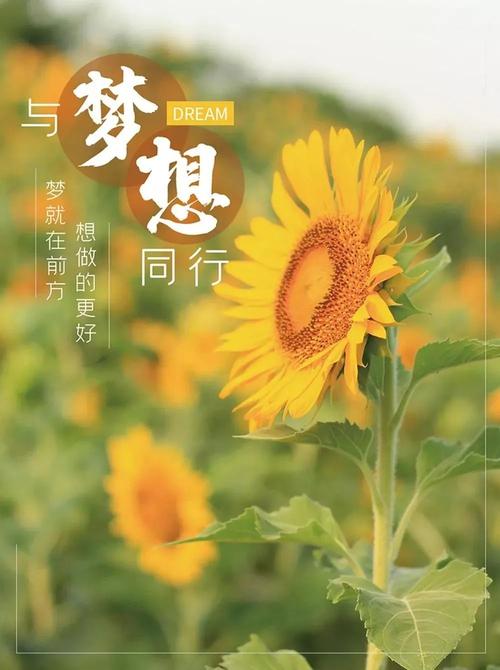 在朋友圈中发送快乐的句子