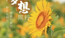 发朋友圈心情愉快的句子