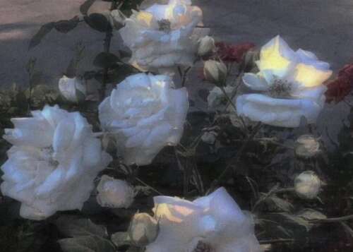 一个人幸免于难1