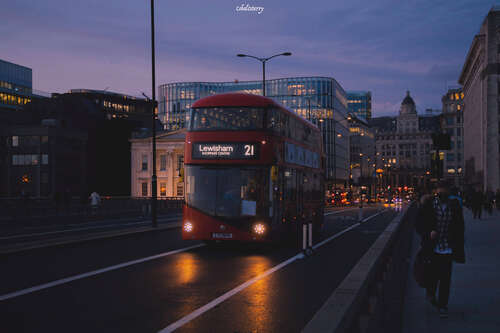 抱歉，年轻时没有勇敢