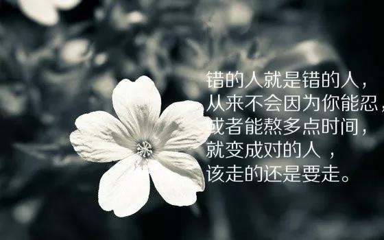 12月发送的片刻正能量2