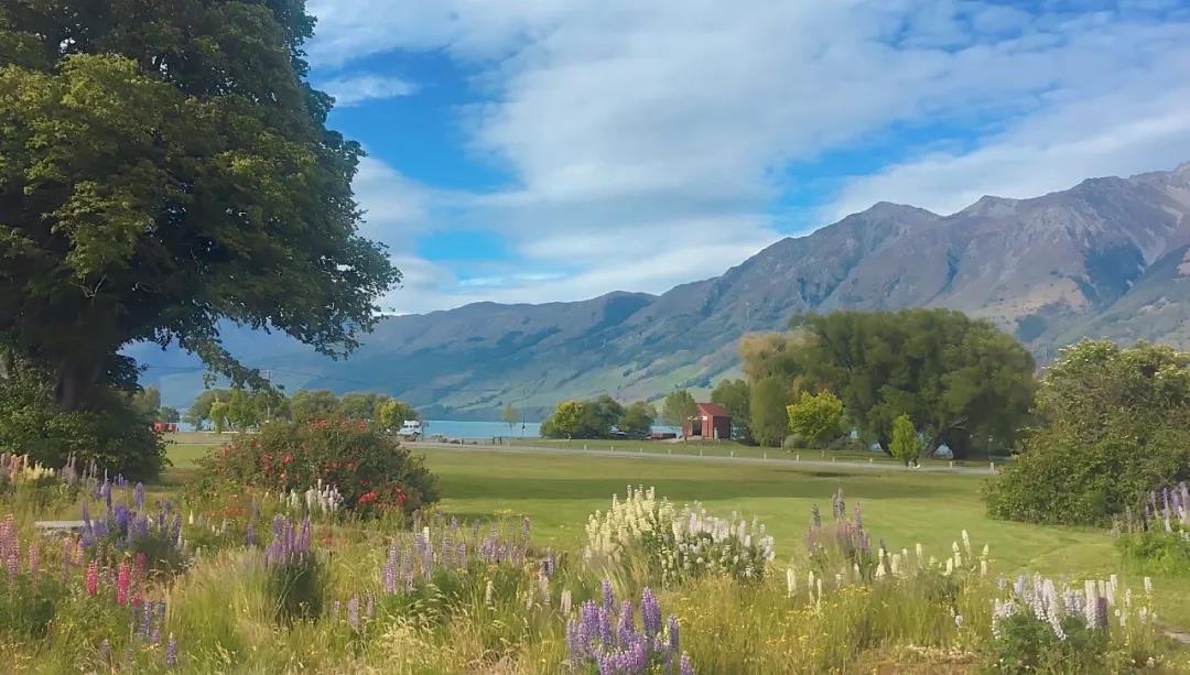 高情商的短语，带照片在Moments 2